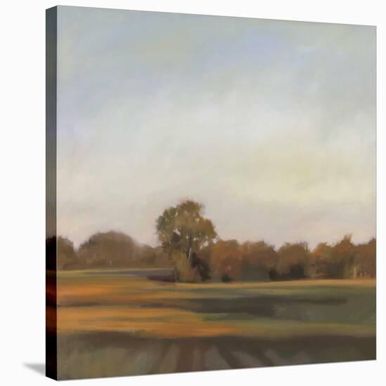 Harvest Fields-Megan Lightell-Stretched Canvas