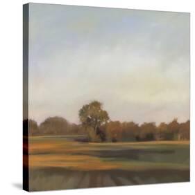 Harvest Fields-Megan Lightell-Stretched Canvas