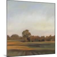 Harvest Fields-Megan Lightell-Mounted Art Print