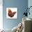 Harvest Flight-Sydney Edmunds-Giclee Print displayed on a wall