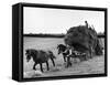 Harvest Horse and Cart-null-Framed Stretched Canvas