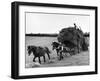 Harvest Horse and Cart-null-Framed Photographic Print