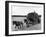 Harvest Horse and Cart-null-Framed Photographic Print