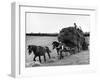 Harvest Horse and Cart-null-Framed Photographic Print