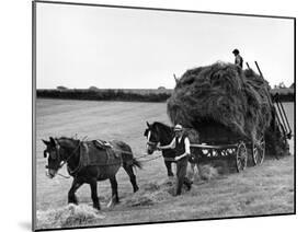 Harvest Horse and Cart-null-Mounted Photographic Print