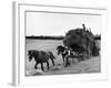 Harvest Horse and Cart-null-Framed Photographic Print