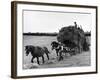 Harvest Horse and Cart-null-Framed Photographic Print