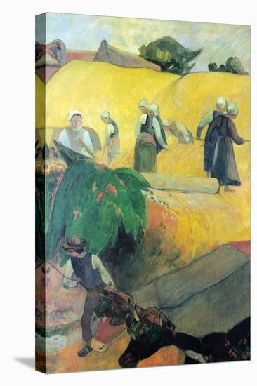 Harvest in Brittany-Paul Gauguin-Stretched Canvas