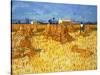 Harvest in Provence, June 1888-Vincent van Gogh-Stretched Canvas