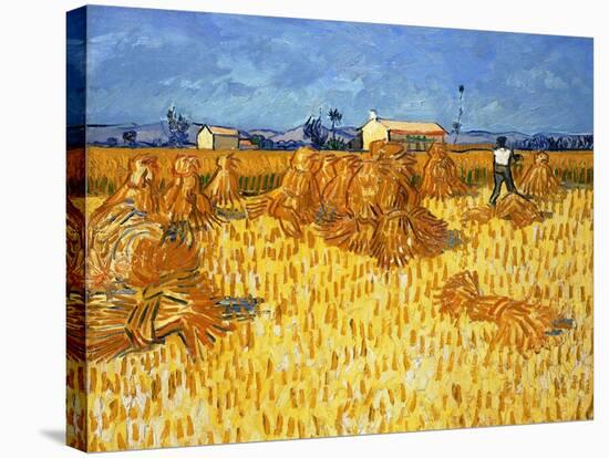 Harvest in Provence, June 1888-Vincent van Gogh-Stretched Canvas