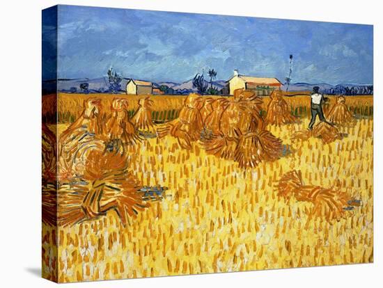 Harvest in Provence, June 1888-Vincent van Gogh-Stretched Canvas