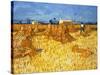 Harvest in Provence, June 1888-Vincent van Gogh-Stretched Canvas