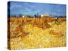 Harvest in Provence, June 1888-Vincent van Gogh-Stretched Canvas