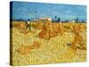 Harvest in Provence of Wheat Field with Sheaves, c.1888-Vincent van Gogh-Stretched Canvas