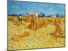 Harvest in Provence of Wheat Field with Sheaves, c.1888-Vincent van Gogh-Mounted Giclee Print