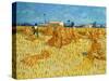 Harvest in Provence of Wheat Field with Sheaves, c.1888-Vincent van Gogh-Stretched Canvas