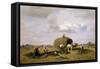 Harvest in Upper Bavaria-Desire Thomassin-Framed Stretched Canvas