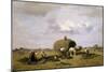 Harvest in Upper Bavaria-Desire Thomassin-Mounted Premium Giclee Print