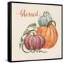 Harvest Jewels IV Pumpkins Sq-Janelle Penner-Framed Stretched Canvas