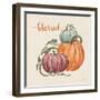 Harvest Jewels IV Pumpkins Sq-Janelle Penner-Framed Art Print