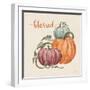 Harvest Jewels IV Pumpkins Sq-Janelle Penner-Framed Art Print