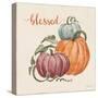 Harvest Jewels IV Pumpkins Sq-Janelle Penner-Stretched Canvas