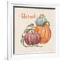 Harvest Jewels IV Pumpkins Sq-Janelle Penner-Framed Art Print