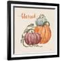 Harvest Jewels IV Pumpkins Sq-Janelle Penner-Framed Art Print