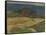 Harvest: Le Pouldu-Paul Gauguin-Framed Stretched Canvas