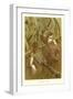 Harvest Mice-null-Framed Art Print