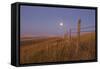 Harvest Moon Down the Road, Gleichen, Alberta, Canada-null-Framed Stretched Canvas