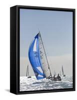 Harvest Moon Regatta, Galveston, Texas, USA-Russell Young-Framed Stretched Canvas