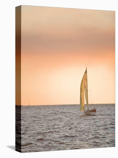 Harvest Moon Regatta, Galveston, Texas, USA-Russell Young-Stretched Canvas