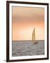 Harvest Moon Regatta, Galveston, Texas, USA-Russell Young-Framed Photographic Print