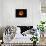Harvest Moon-Julie Fain-Framed Stretched Canvas displayed on a wall