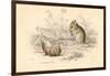 Harvest Mouse (Micromys Minutu) of the Old World, 1828-null-Framed Giclee Print