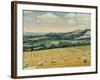 Harvest on the North Stoke, 1995-Margaret Hartnett-Framed Giclee Print