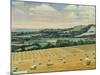 Harvest on the North Stoke, 1995-Margaret Hartnett-Mounted Giclee Print