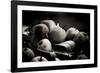 harvest photography-Alex Caminker-Framed Photographic Print