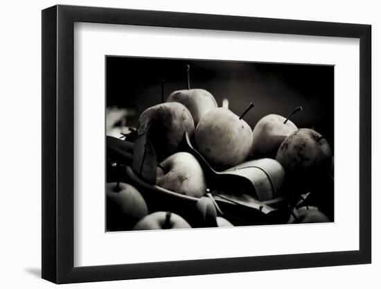 harvest photography-Alex Caminker-Framed Photographic Print