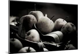 harvest photography-Alex Caminker-Mounted Photographic Print