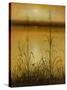 Harvest Pond-Williams-Stretched Canvas
