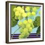 Harvest Prize 1-Martha Negley-Framed Giclee Print