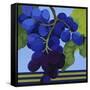 Harvest Prize 3-Martha Negley-Framed Stretched Canvas