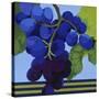 Harvest Prize 3-Martha Negley-Stretched Canvas