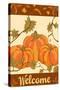 Harvest Pumpkin-Nicholas Biscardi-Stretched Canvas