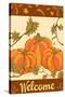 Harvest Pumpkin-Nicholas Biscardi-Stretched Canvas