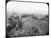 Harvest Scene on the North American Prairies, Late 19th or Early 20th Century-George Philip & Son-Mounted Photographic Print