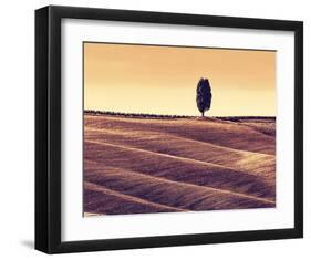 Harvest Season in Tuscany-Michal Bednarek-Framed Art Print