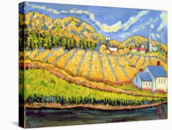 Harvest, St. Germain, Quebec-Patricia Eyre-Stretched Canvas